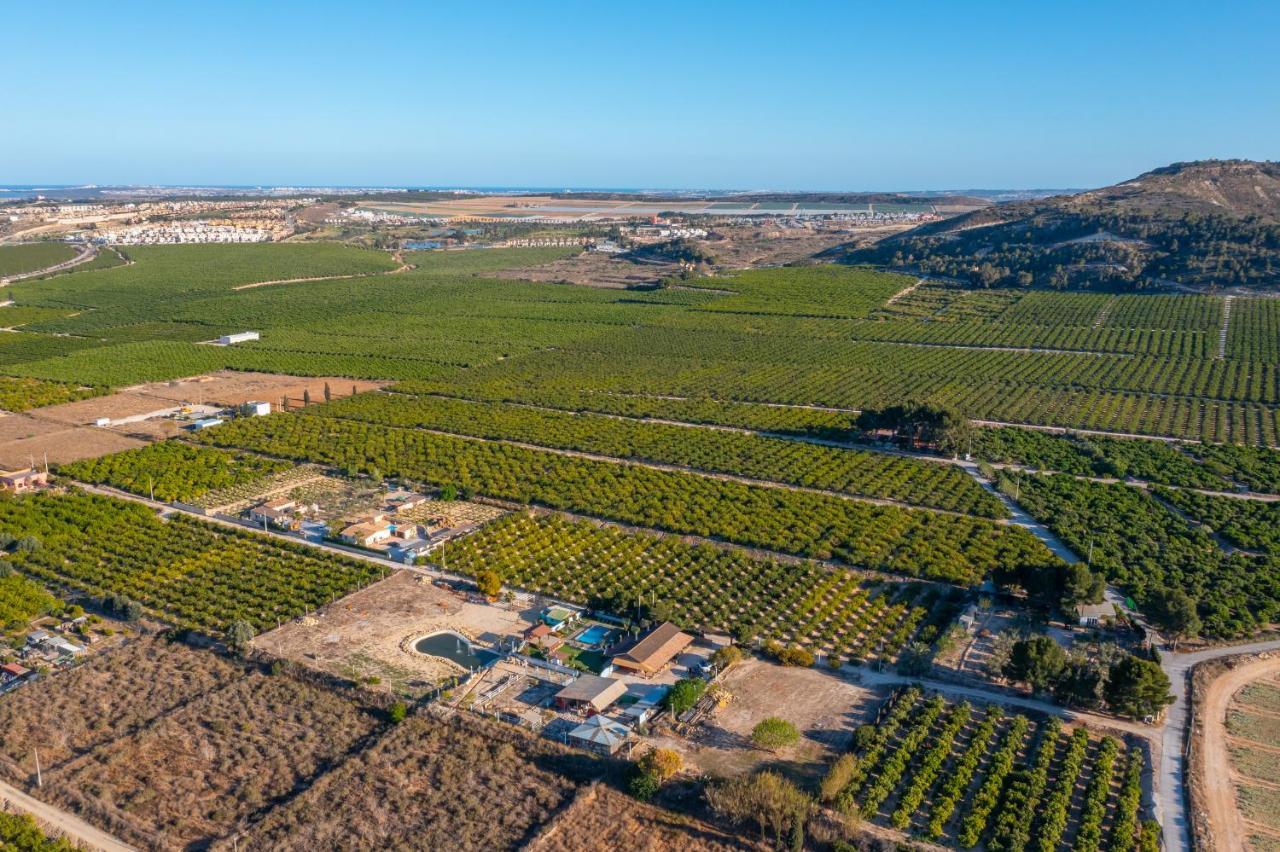 Bah Ama Breeze By Fidalsa Villa Algorfa Exterior photo